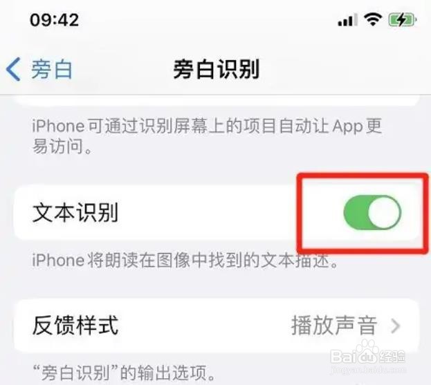 iphone旁白文本识别如何开启