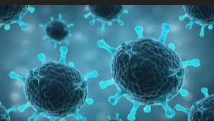 烂掉的水果还可以吃吗？