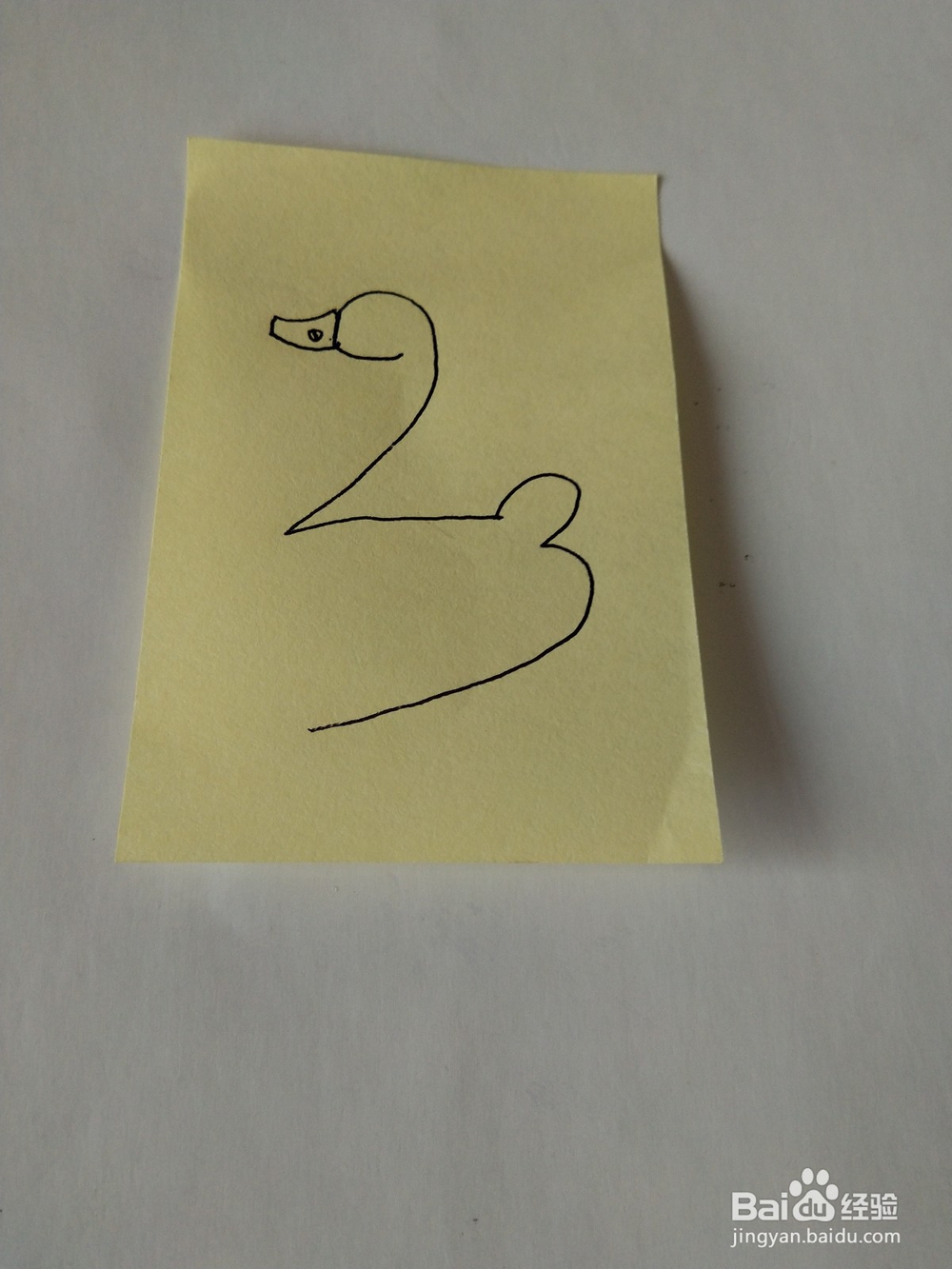 天鹅的简笔画这样画