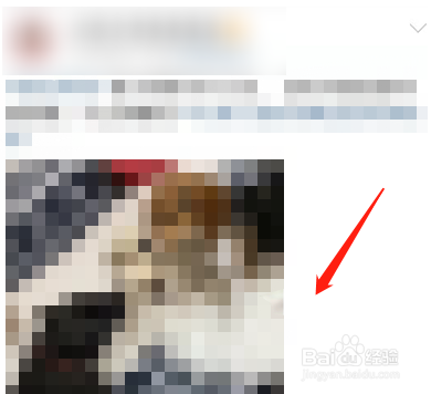 微博离线缓存怎么看