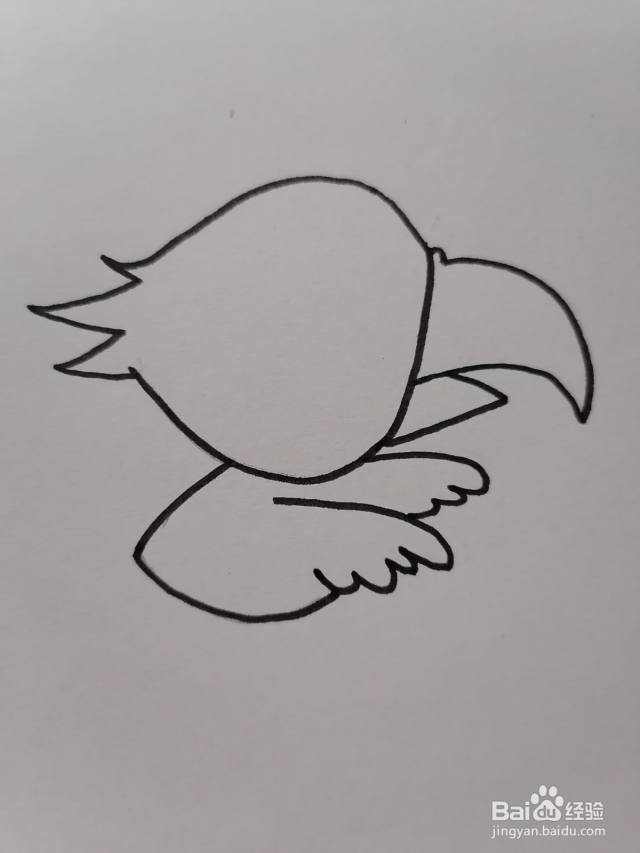小鹦鹉怎么画（小鹦鹉怎么画?）[图]