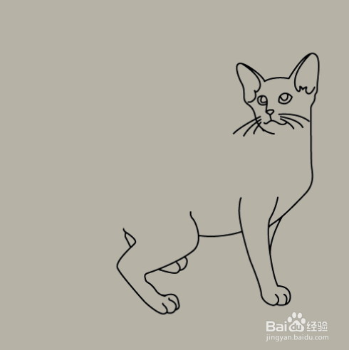 如何手工画小猫咪的简笔画？