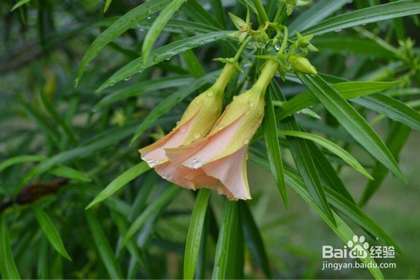 小孩子周末不上学,都能去干什么呢?