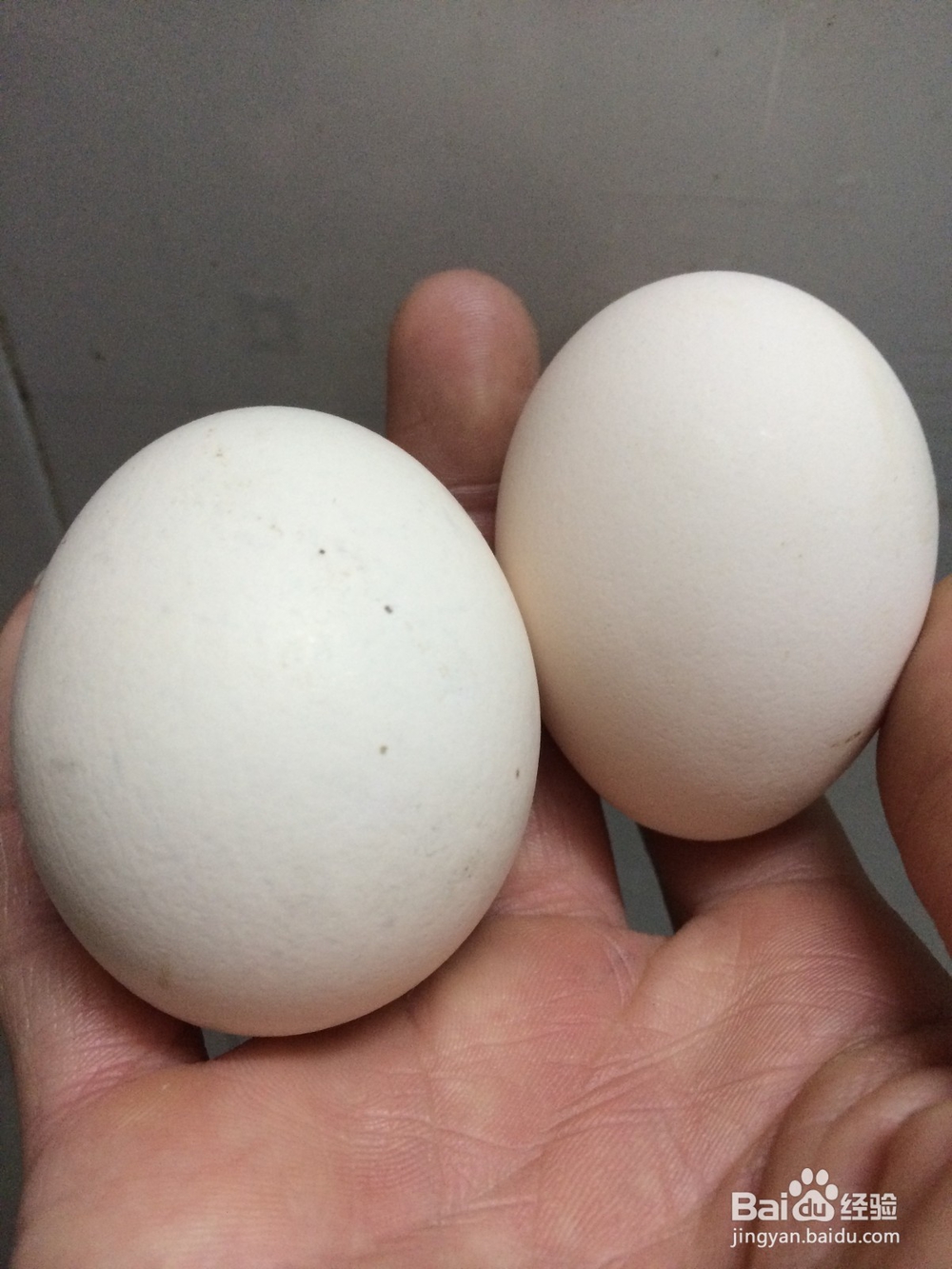 家常青瓜炒鸡蛋