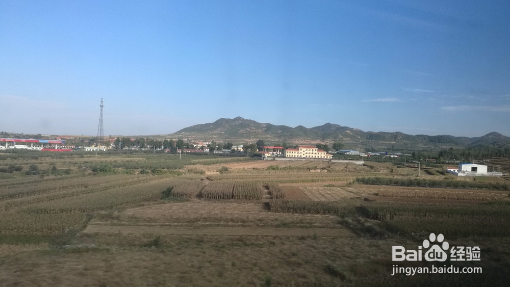 从莱西到烟台火车怎么坐