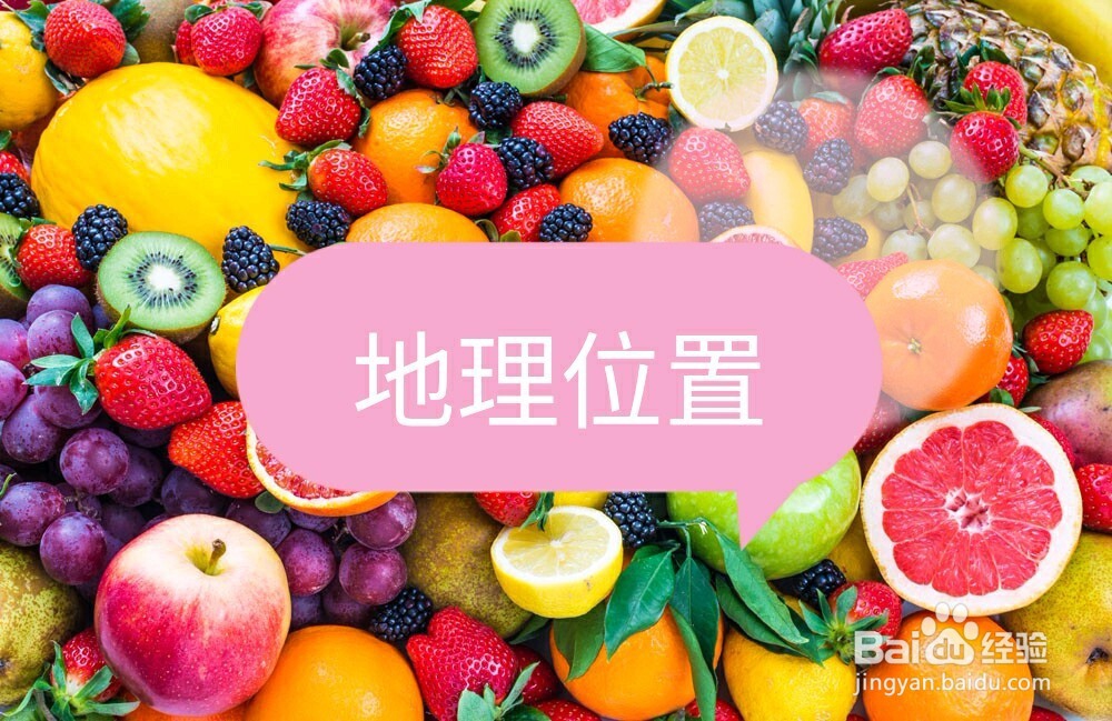 如何创办水果店