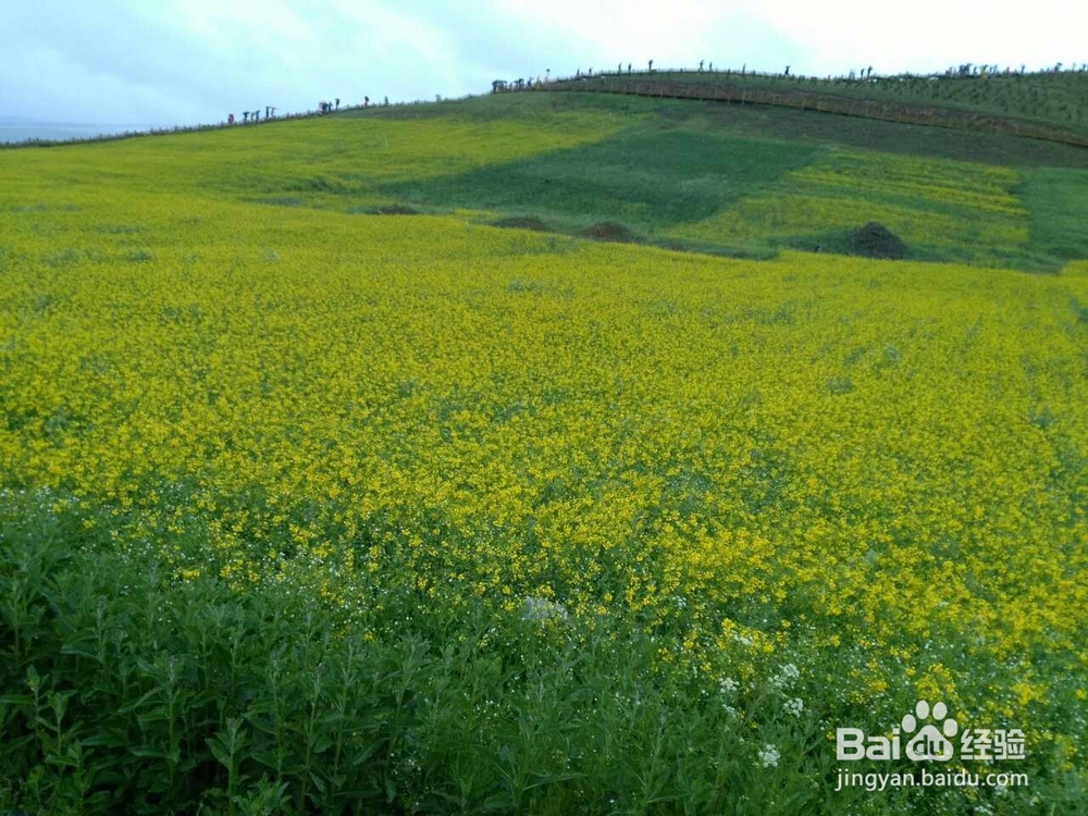 用手机拍摄风景照的技巧