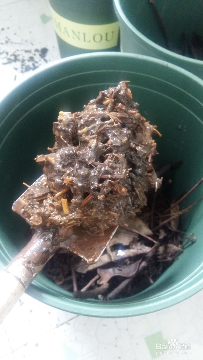 花草翻盆换土方法，怎么养好花草开花多