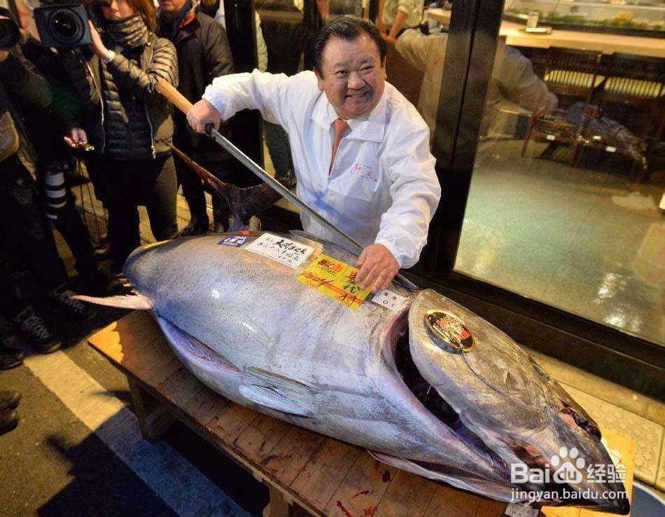 南油钓鱼金枪鱼技巧
