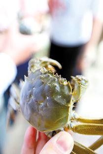 如何存放大米使它不生虫发霉？