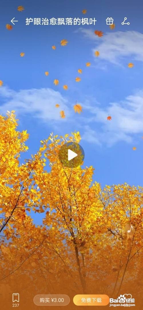 华为P30Pro动态壁纸在哪里设置？