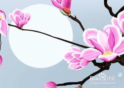 宠物店狗吠声扰民不知道怎么办