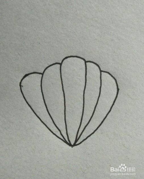 扇贝简笔画教程