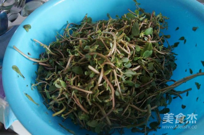 凉拌马齿苋的做法