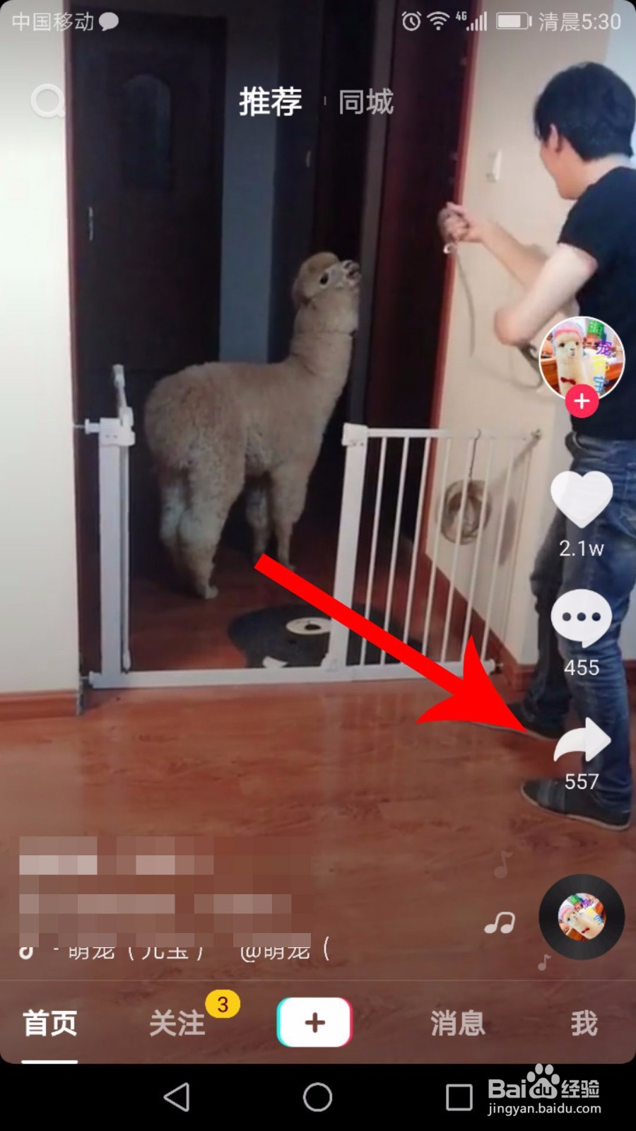 抖音私信怎么发视频