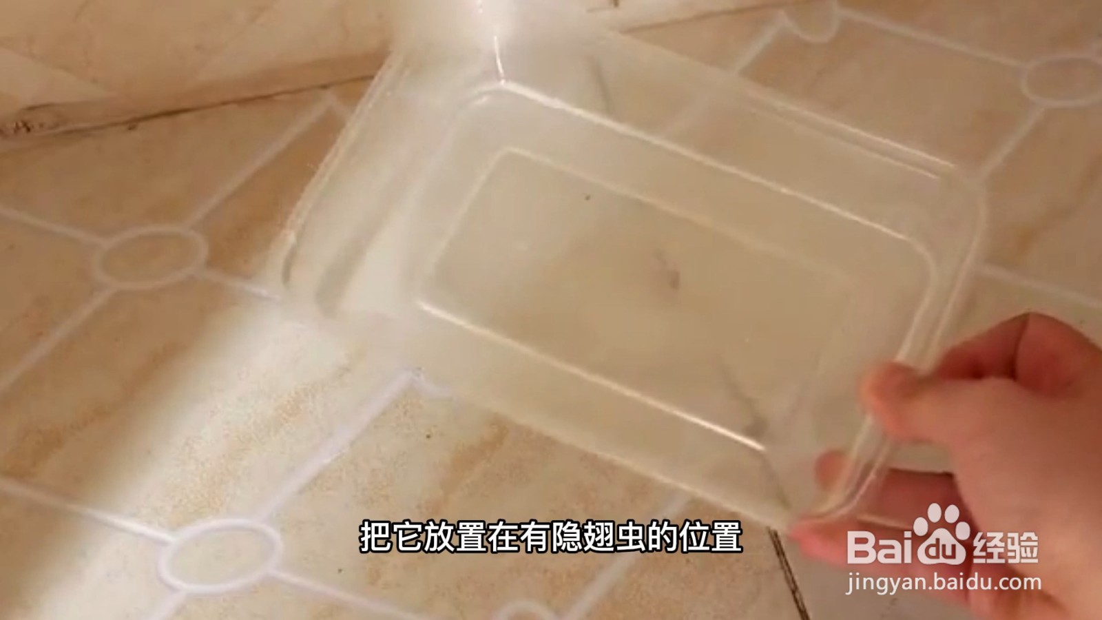 家里的隐翅虫如何清除