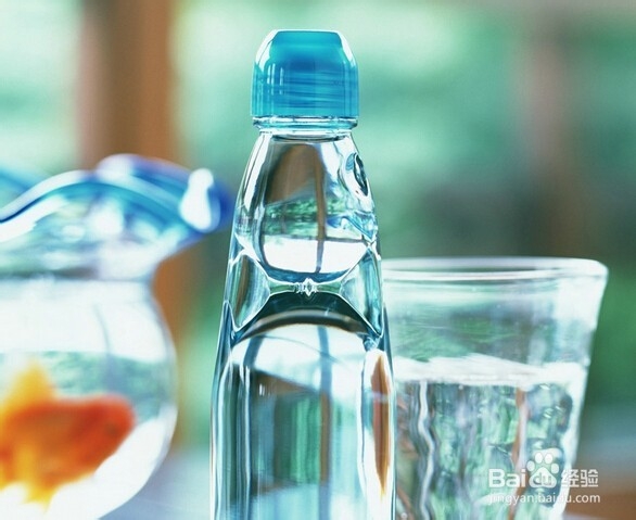 小暑饮食注意事项