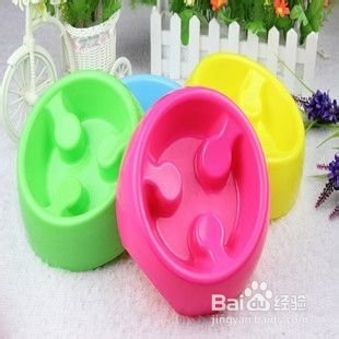 怎么训练狗慢慢嚼狗粮