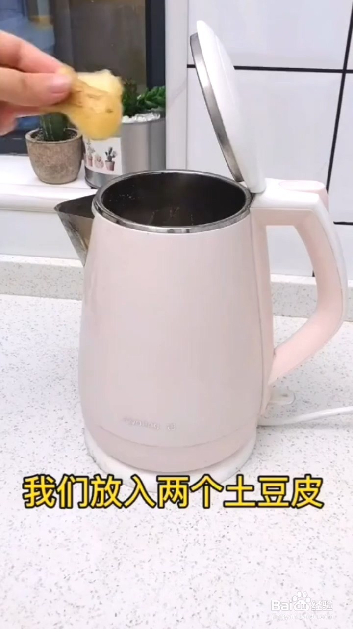 怎样快速清洗热水壶水垢？