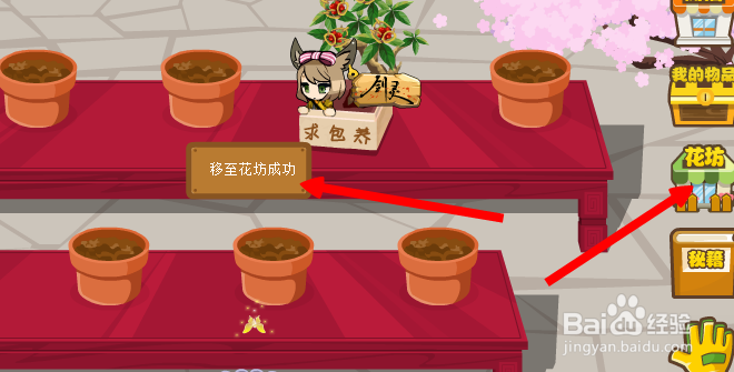 QQ空间新版花藤怎么展示到主页