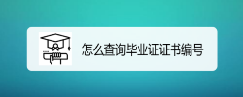 怎么查询毕业证证书编号