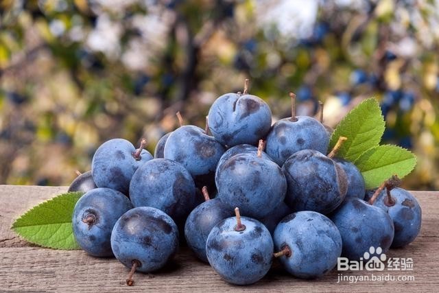 <b>蓝莓泡白酒的做法</b>