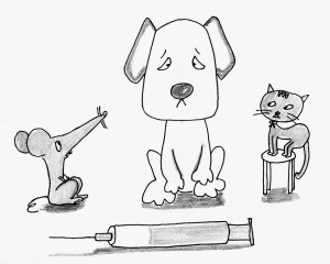 狂犬疫苗接种原则和打了狂犬疫苗后注意事项