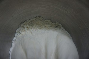 独家的意式披萨
