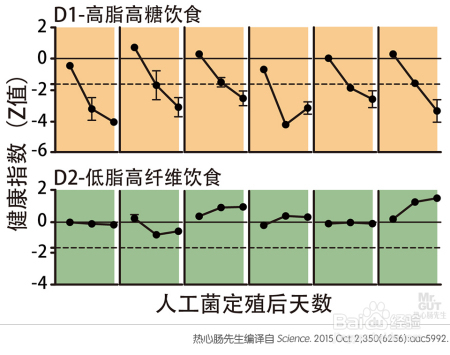 减肥难别急，精准调控细菌的方法已横空出世！