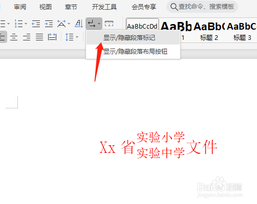 WPS文件如何设置显示段落标记