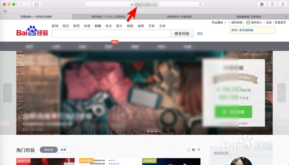 mac safari 浏览器如何显示完成的网站地址