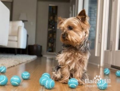 出门之前需要注意哪些安全事项