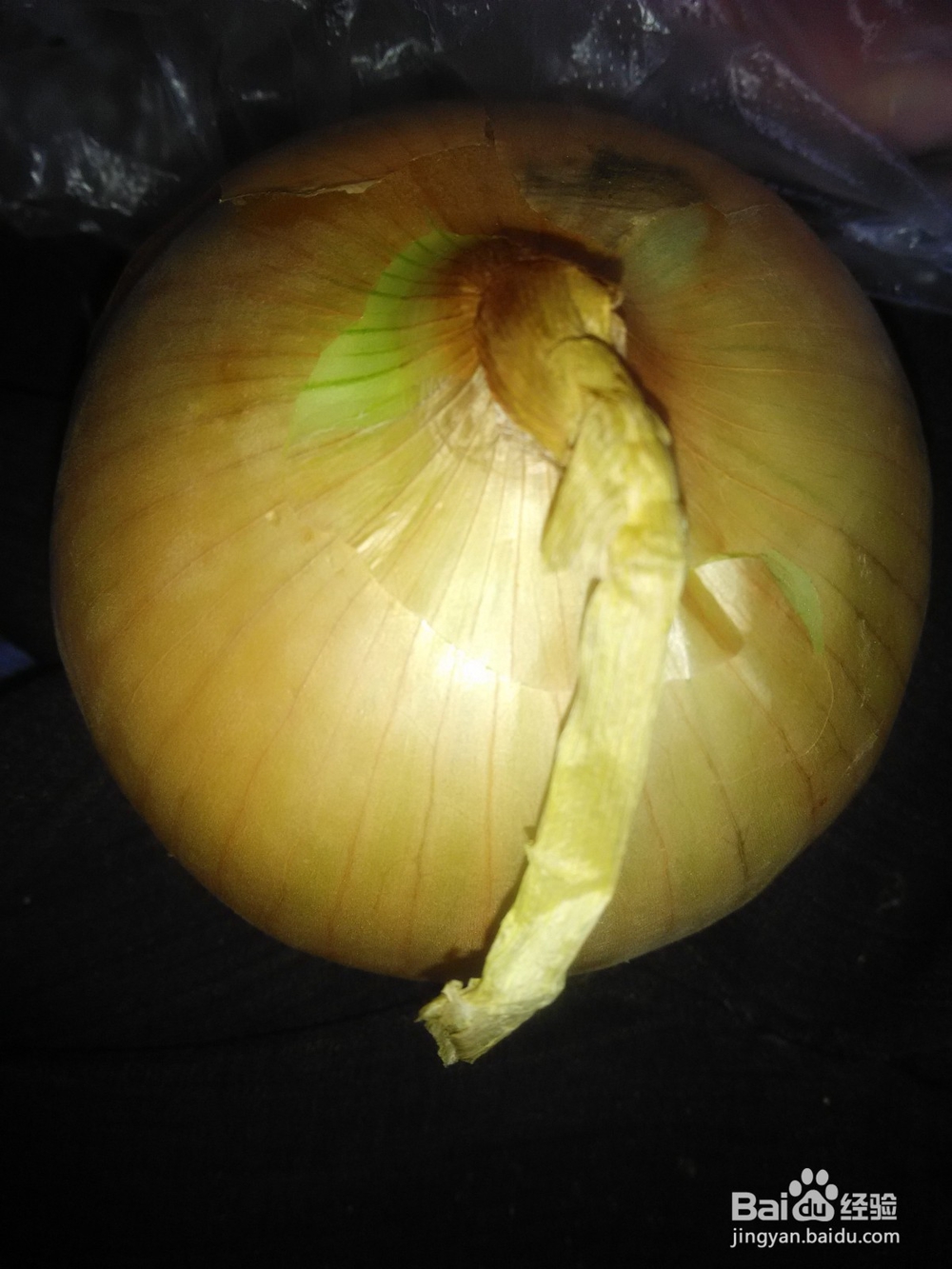 居家之香菜炒白洋葱
