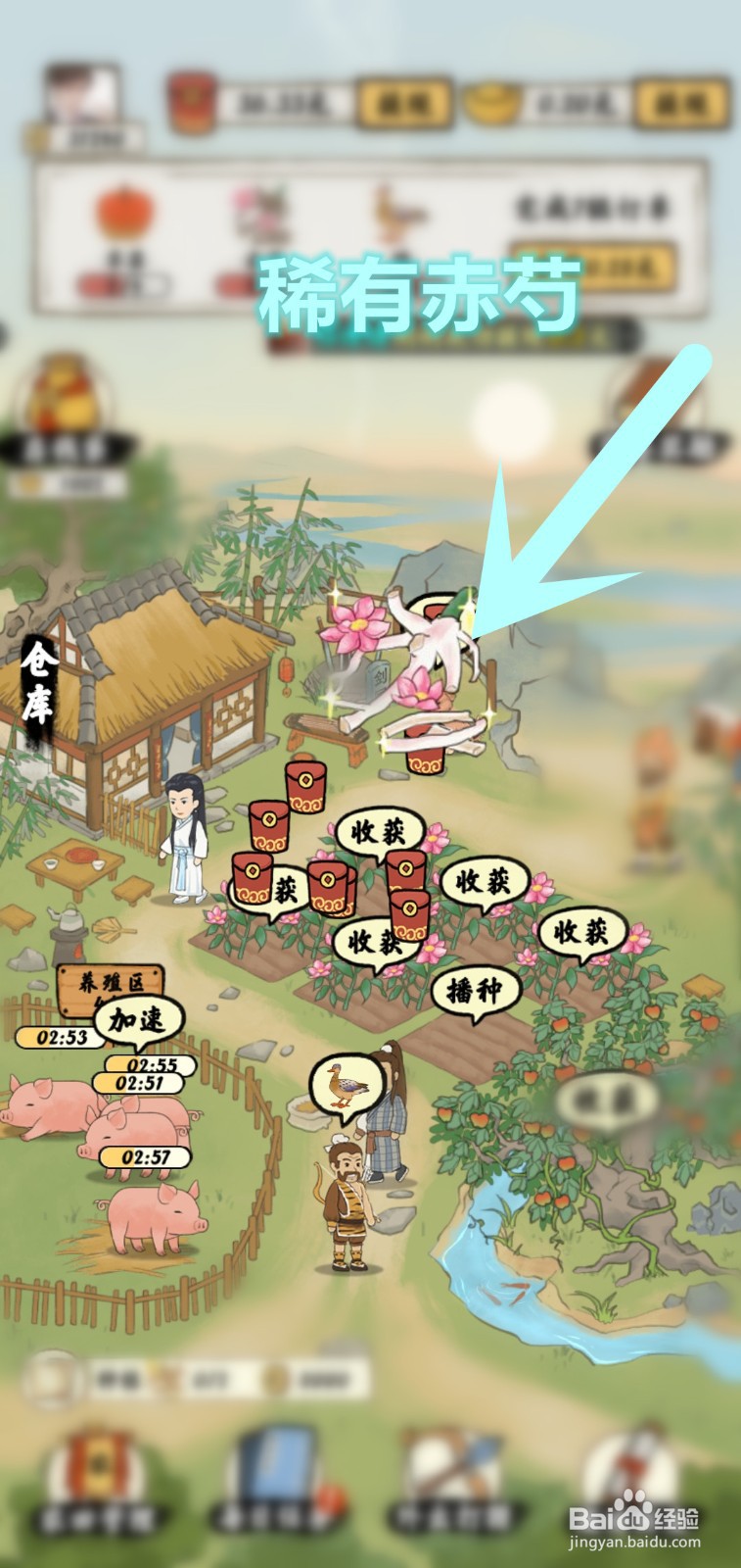 南山小院游戏怎么领稀有赤芍