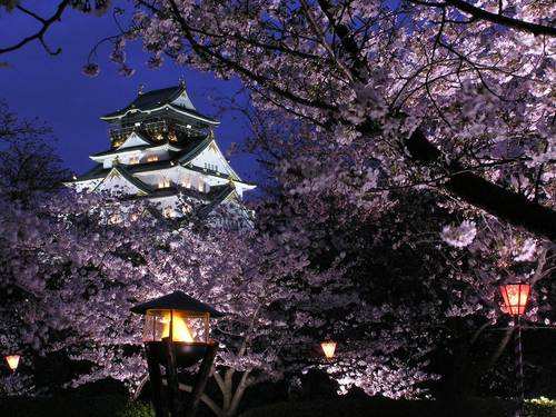 日本本州有哪些著名景点