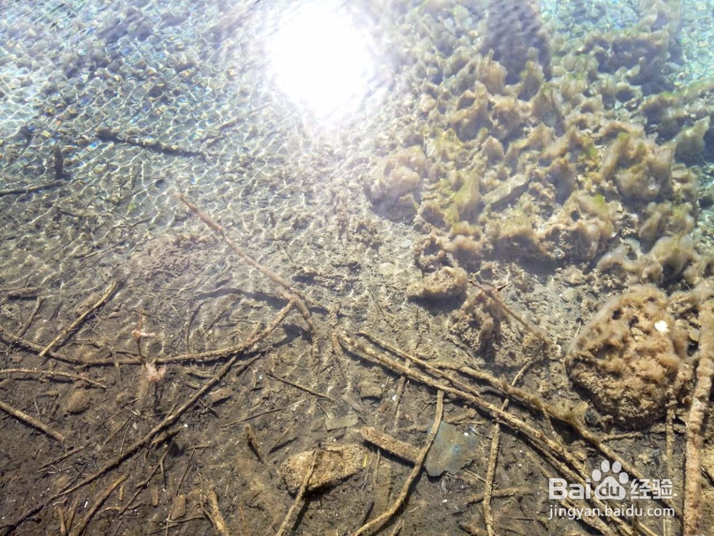 九寨沟冬季自驾游旅游攻略