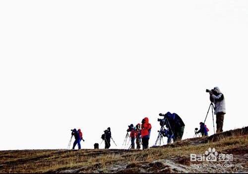 单反摄影技巧入门技巧