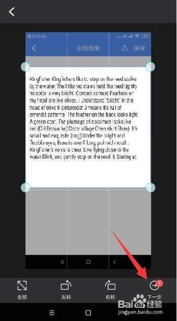 怎样将图片文字转换成word文字
