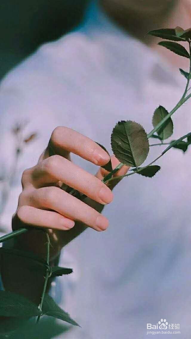 做到这些事项可以提高免疫力。