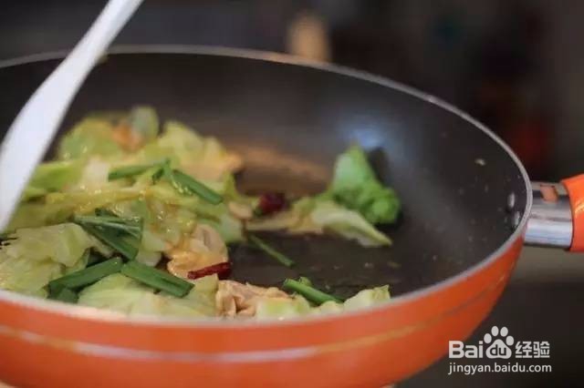 手撕包菜、口蘑卷心菜、包菜的美味做法!