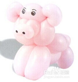 魔法气球造型教程系列之：[14]猪宝贝