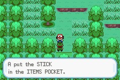 口袋妖怪圣灰攻略图片5