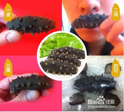 家庭吃海参的禁忌有哪些？海参为什么不能碰油？