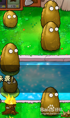 植物大战僵尸如何过泳池