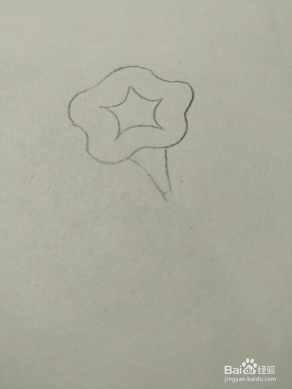 简笔画画卡通牵牛花