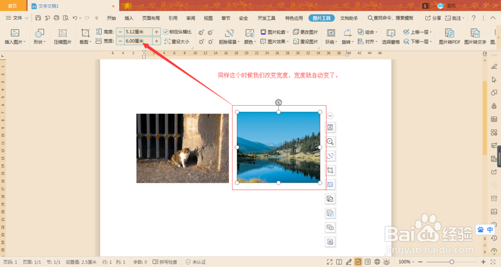 Word如何让两张图片在不裁剪的情况下宽高相同