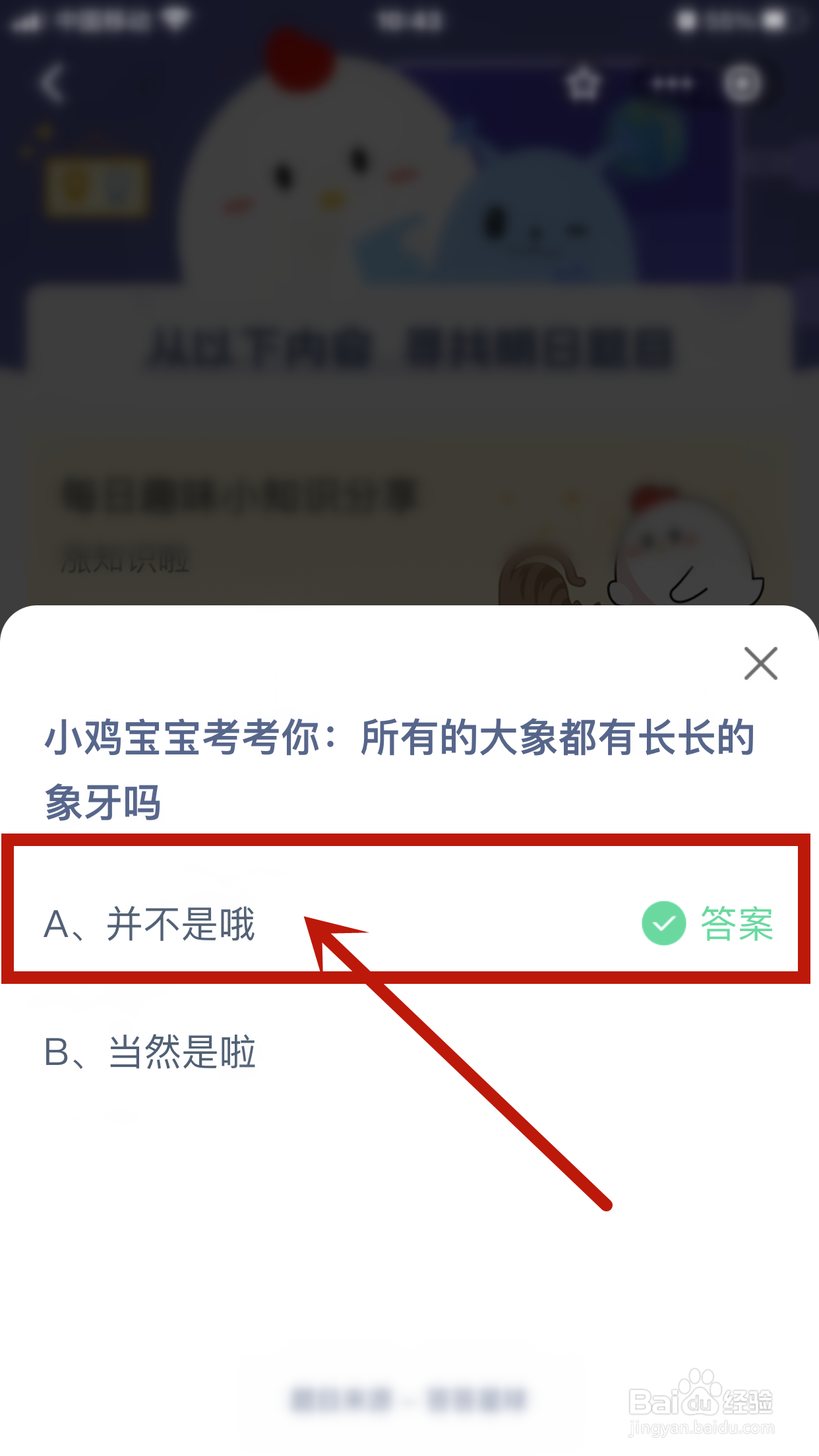 所有的大象都有长长的象牙吗蚂蚁庄园小课堂