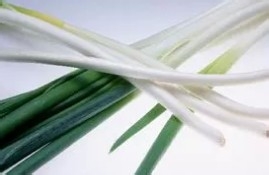 感冒了吃什么好的快