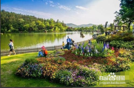 银杏湖乐园一天怎么玩