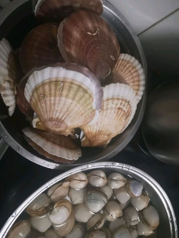 蒜蓉粉丝蒸扇贝